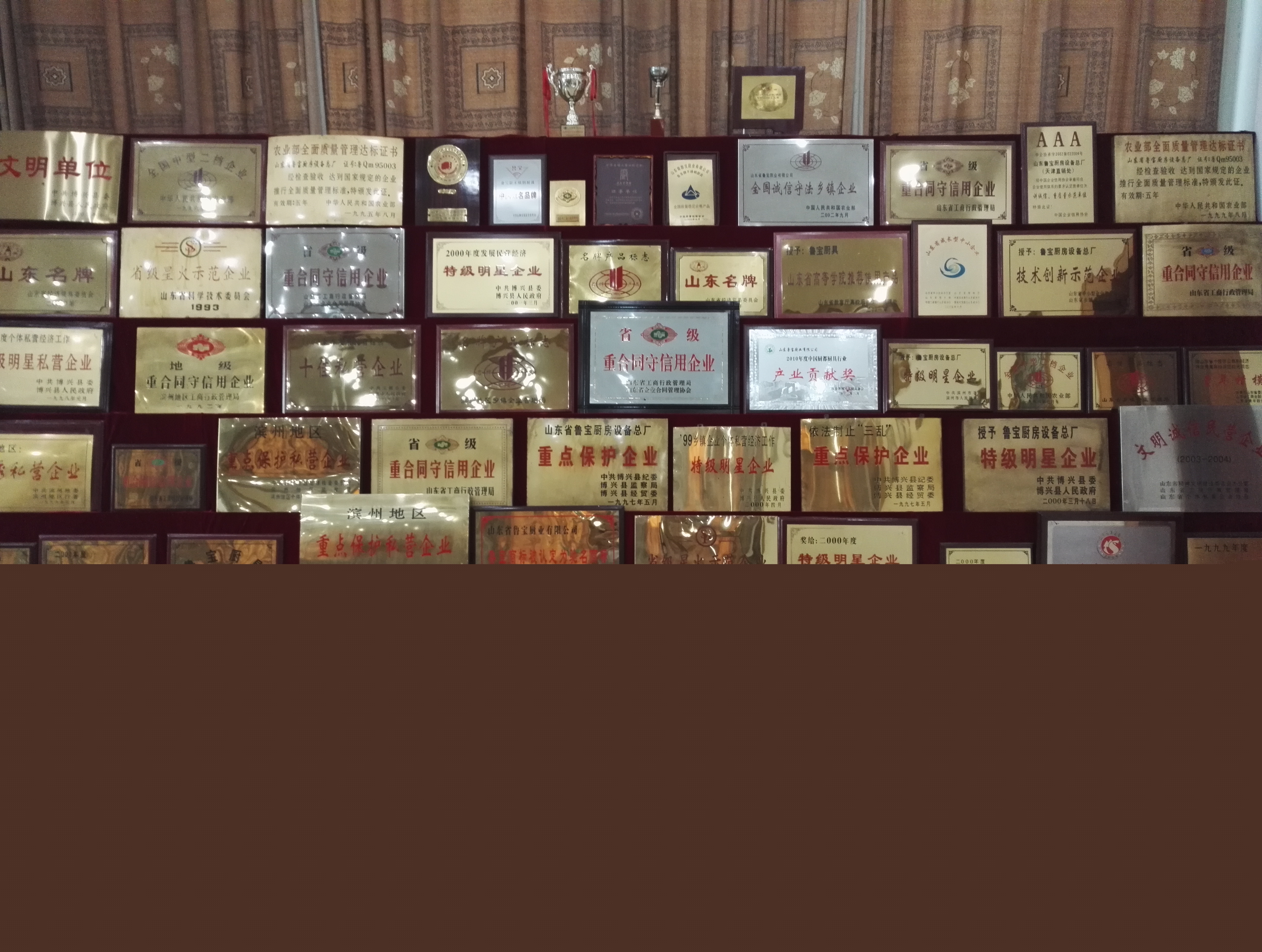 魯寶廚業(yè)參展第八屆APEC中小企業(yè)交流會